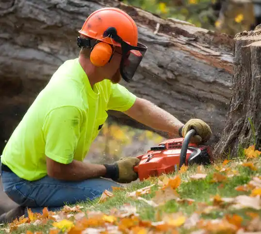 tree services Warrensburg